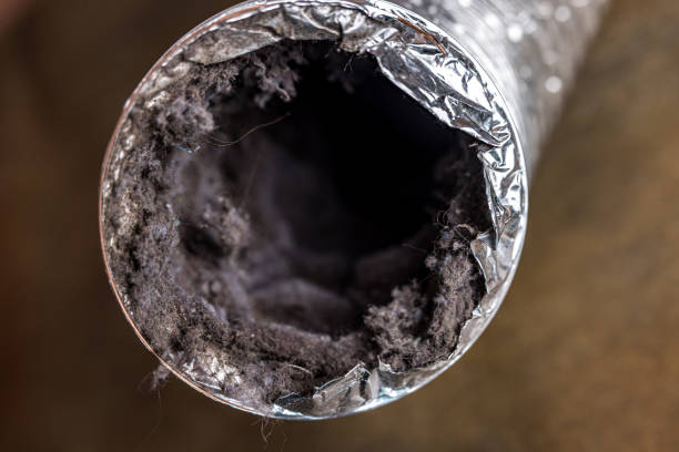 Best HVAC Duct Inspection Services  in Navarre Beach, FL