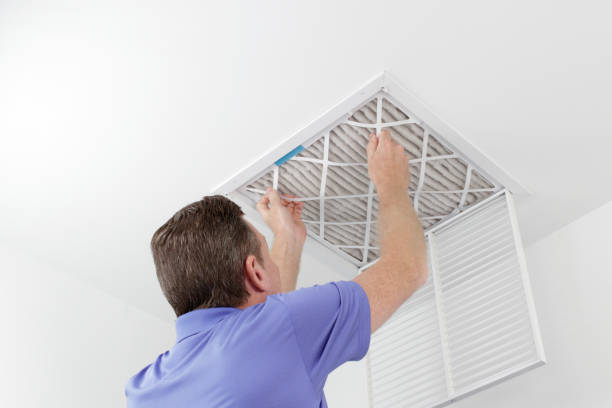 Best Professional Duct Cleaning Services  in Navarre Beach, FL